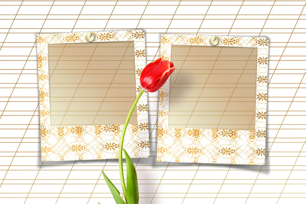 Букет червоних тюльпанів зі слайдами
 - Фото, зображення