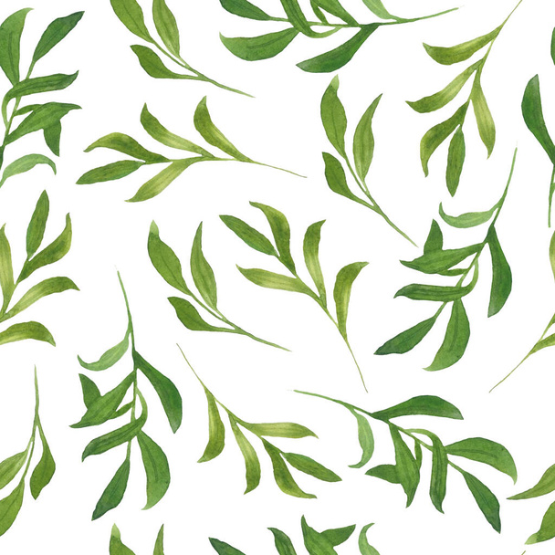 Seamless hand drawn watercolor pattern with green wild herbs flowers leaves in wood woodland forest. Organic natural plants, floral botanical design for wallpapers textile wrapping paper wedding - Φωτογραφία, εικόνα