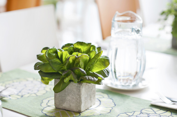 Basil bunch in stone decorative pot on the table - Foto, Imagen