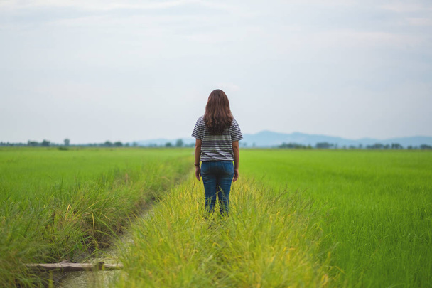 Οπίσθια εικόνα μιας γυναίκας που στέκεται και κοιτάζει ένα όμορφο χωράφι με ρύζι με αίσθημα χαλάρωσης και ηρεμίας - Φωτογραφία, εικόνα