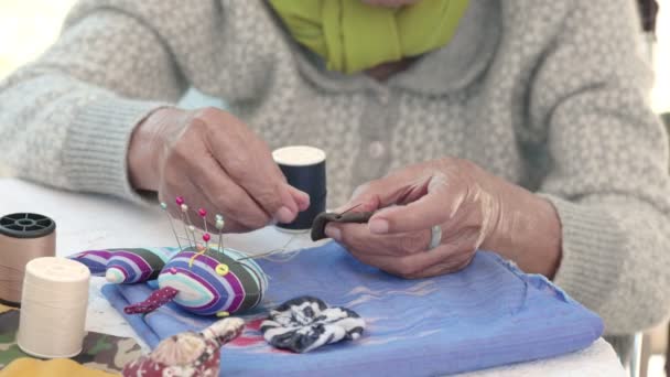 Mujer anciana en la artesanía de agujas terapia ocupacional para Alzheimer o demencia - Metraje, vídeo