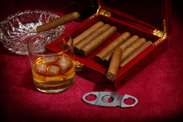 cigars - Photo, Image