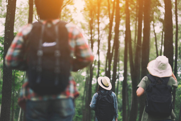 Eine Gruppe von Reisenden geht in einen wunderschönen Kiefernwald - Foto, Bild