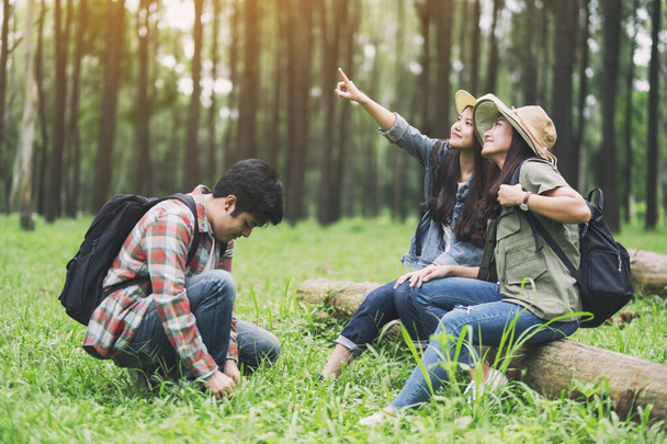 Група мандрівників, що сидять на колоді і дивляться в красиві соснові ліси
 - Фото, зображення