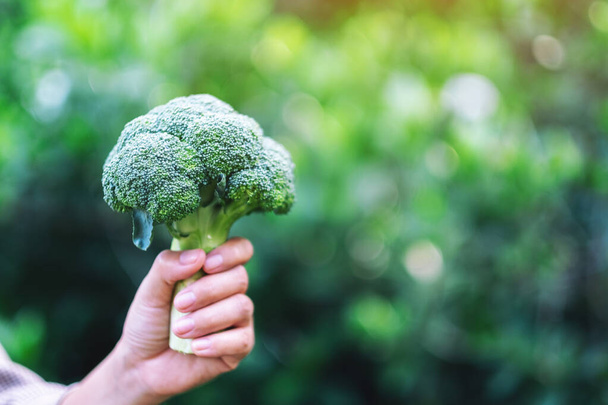 a woman holding a green broccoli in hands - Фото, зображення