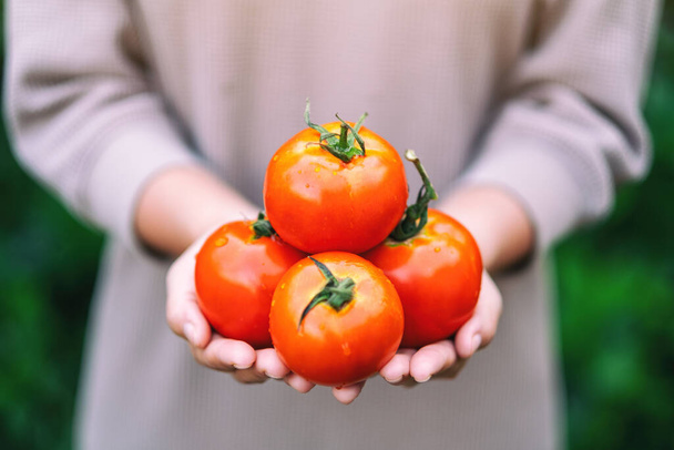 una mujer sosteniendo un tomate fresco en las manos - Foto, imagen