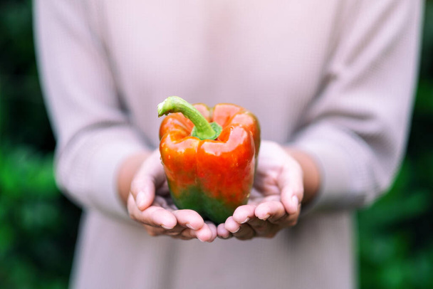 A woman holding a fresh bell pepper in hand - Fotoğraf, Görsel