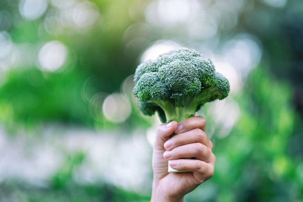 una mujer sosteniendo un brócoli verde en las manos - Foto, Imagen