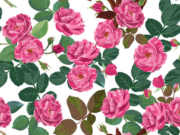 Spring flowers peonies or pink roses floral pattern - Vector, Image