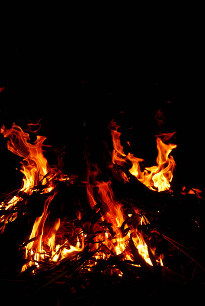 Geceleyin ateş yanan odun - Fotoğraf, Görsel