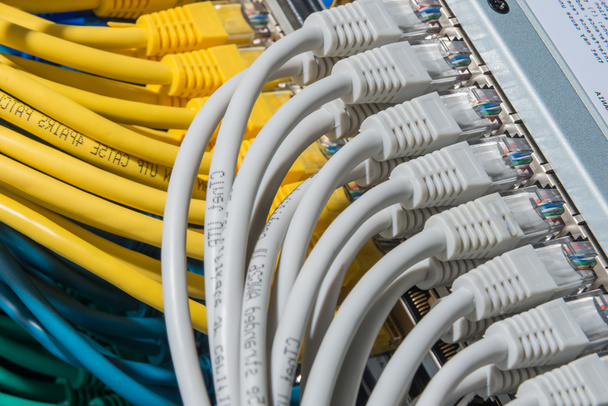 cables de red conectados al conmutador - Foto, imagen