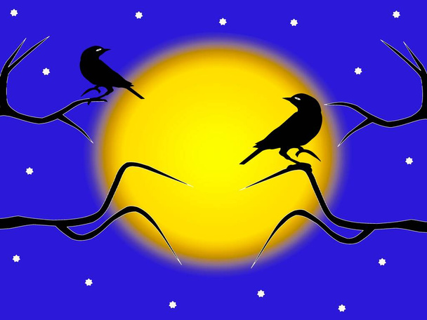 Pareja de pájaros sentados en árboles desnudos de invierno sobre el fondo de la luna llena y brillante  - Foto, imagen