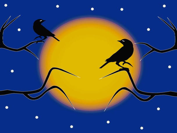 満月を背景に裸の冬の木々に座っている鳥のペア。  - 写真・画像