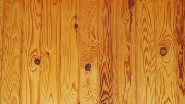 Fondo de madera. Textura de madera de pino. La cámara se mueve de izquierda a derecha - Imágenes, Vídeo
