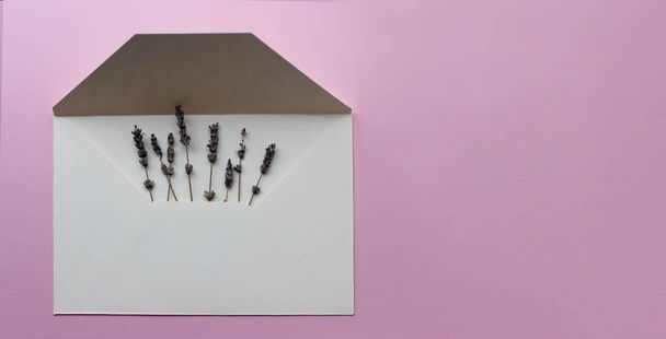 Witte open envelop met lavendelbloemen op een roze achtergrond. Brief met bloemen - Foto, afbeelding