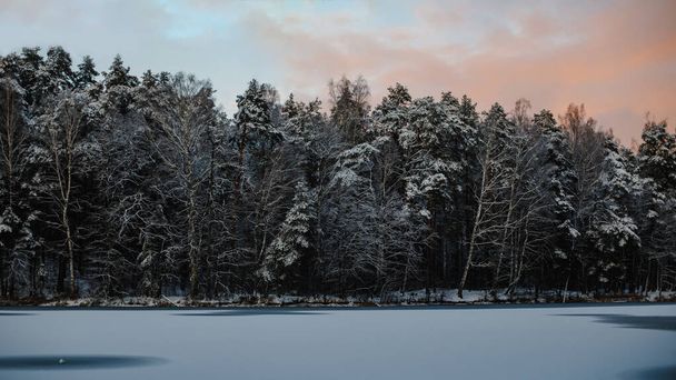 Kış ormanının güzel bir görüntüsü, gün batımında karla kaplı ağaçlar. - Fotoğraf, Görsel