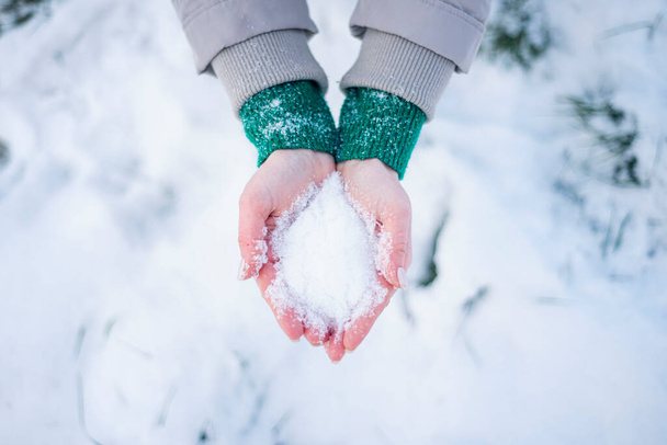 nieve en las manos de una chica sin manoplas, día helado, manos enrojecidas del frío, clima invernal - Foto, Imagen