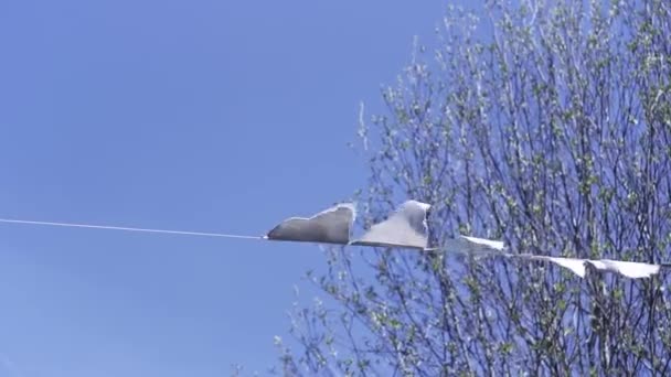 Onderaanzicht van driehoekige witte vlaggen zwaaiend in de wind. Een knip. Mooi buitenshuis vakantie decoratie op blauwe lucht en boom takken achtergrond. - Video