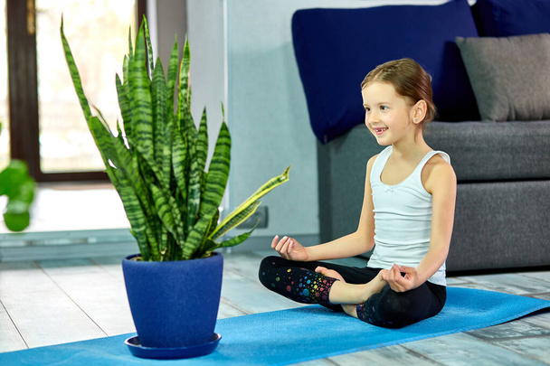 Dziewczyna siedząca w yoga asana na niebieskim tle. Koncepcja treningu domowego, jogi dla dzieci, zachowania spokoju, pozostania w domu. Kwarantanna, koronawirus. Dzieciaki mają domową kwarantannę. Międzynarodowy Dzień Jogi. - Zdjęcie, obraz