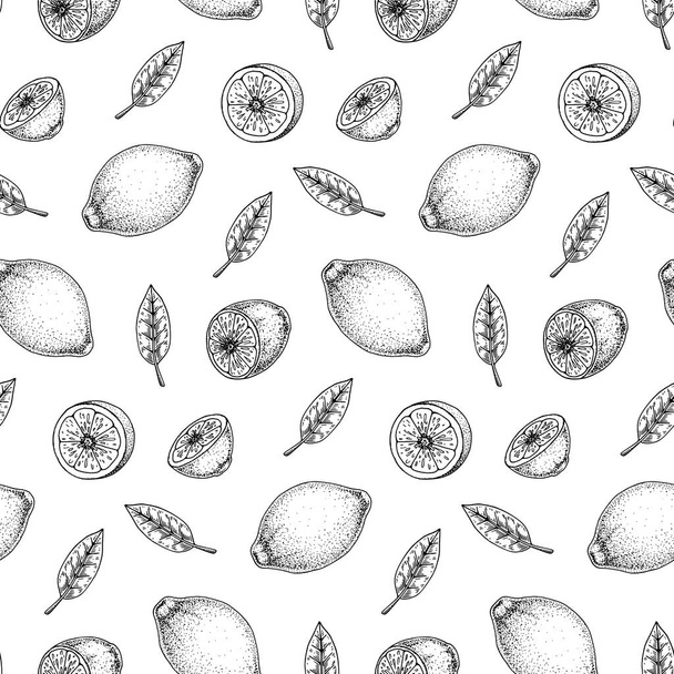 Handgezeichnetes nahtloses Muster mit Zitronenfrüchten und -blättern. Vektorillustration im Skizzenstil - Vektor, Bild