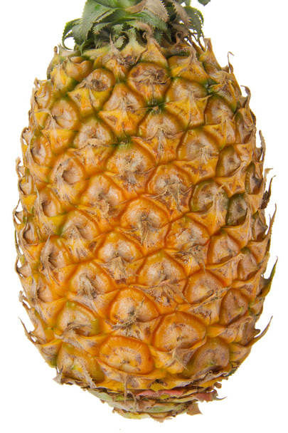 Ananas - Fotografie, Obrázek