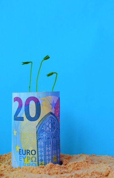 Húsz eurobankjegyet gördítettek fel, és egy növény kezdett növekedni a földben, a kék égbolttal körülvéve, ami egy beruházás növekedését szimbolizálja. - Fotó, kép