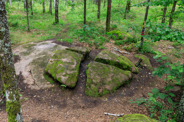 великі кам'яні валуни в лісі
 - Фото, зображення