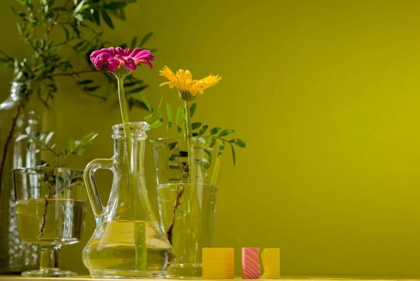 Mooie schaduwen van glazen vazen in zonlicht. Gerbera 's in glazen flessen op een groene achtergrond. Een bloemig minimalistisch concept in een modern interieur met fel licht en schaduw. - Foto, afbeelding