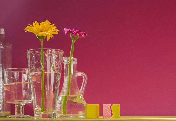 Gerberas in glass bottles on a pink background. A floral minimalistic concept in a modern interior with harsh light and shadow. Beautiful shadows from glass vases in sunlight. Copy space. - Photo, Image