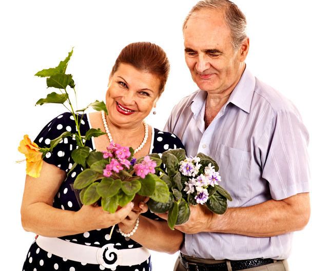 yaşlı çift holding çiçek. - Fotoğraf, Görsel