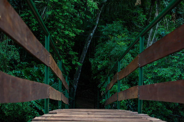Puente hacia el bosque - Photo, Image