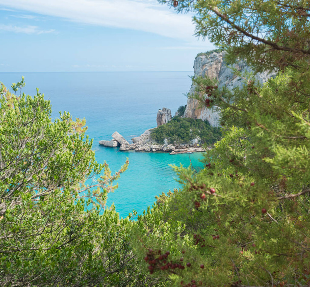 Uitzicht vanuit de lucht op het Cala Luna strand bij Cala Gonone, Golf van Orosei, eiland Sardinië, Italië. Wit zandstrand met kalkstenen rotsen en turquoise blauw water. Beroemde toeristische reisbestemming - Foto, afbeelding