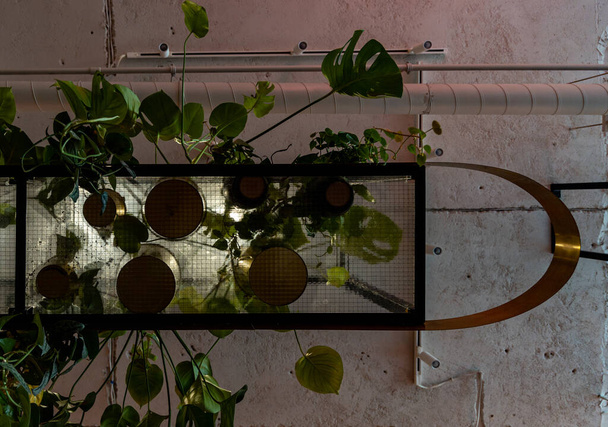 Vista hacia arriba a una pequeña plataforma transparente con plantas y flores en ella - Foto, Imagen