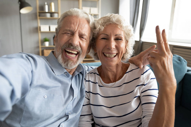 Overjoyed sincere laughing middle aged couple holding video call. - Foto, Imagem
