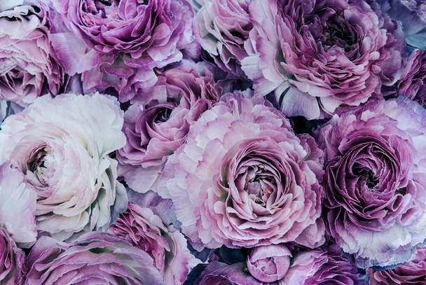 Big bunch of fresh violet roses in bouquet close up texture background  - Foto, Bild