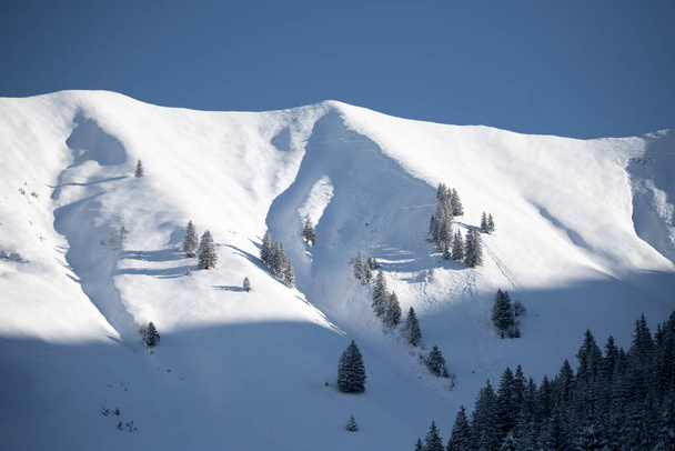 Глибокий сніговий схил з окремими деревами в чудовий сонячний зимовий день в Австрії з блакитним безхмарним небом. - Фото, зображення