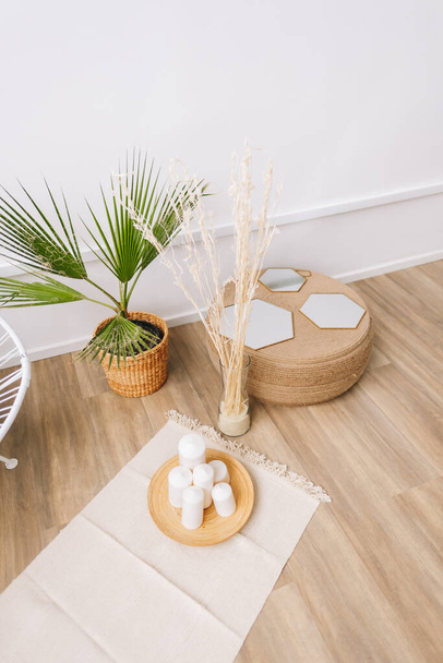 Palm tree in a pot and rattan decoration elements. Eco friendly interior design of living room in modern house. - 写真・画像