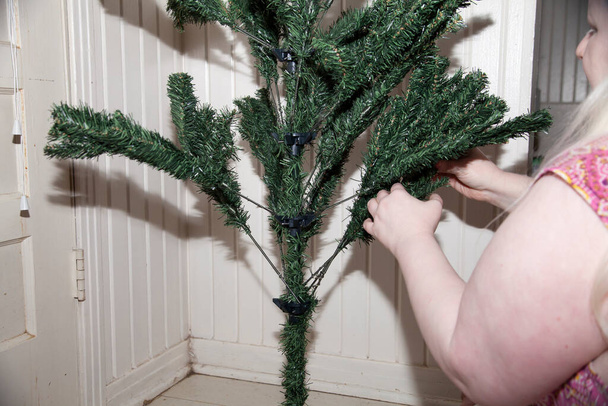 Mujer albina alisando las extremidades de un árbol de Navidad artificial - Foto, imagen