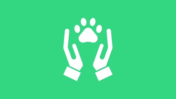 White Hands with animals footprint icon isolated on green background. Pet paw in heart. Love to the animals. 4K Video motion graphic animation - Footage, Video
