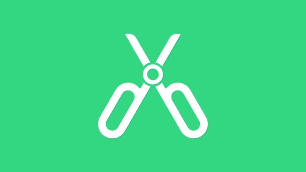 Białe nożyczki ikona izolowane na zielonym tle. Symbol krawca. Znak narzędzia tnącego. 4K Animacja graficzna ruchu wideo - Materiał filmowy, wideo