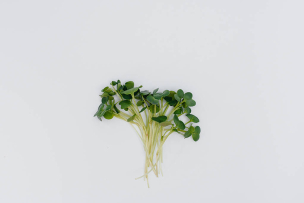 Micro-green sprouts close-up on a white background with free space. Healthy food and lifestyle - Foto, Imagem