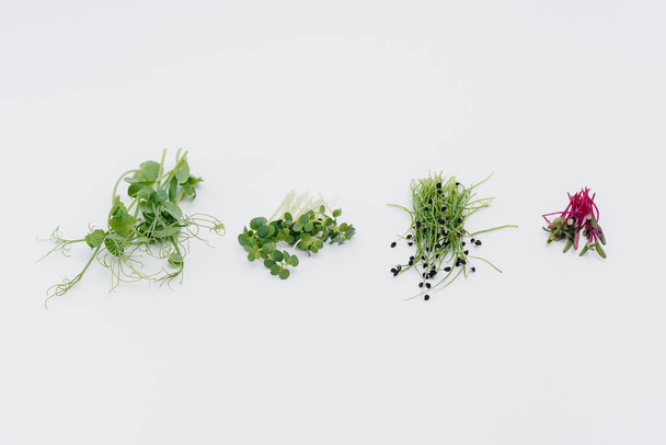 Μικροπράσινα βλαστάρια κοντά σε λευκό φόντο με ελεύθερο χώρο. Υγιεινά τρόφιμα και τρόπος ζωής - Φωτογραφία, εικόνα