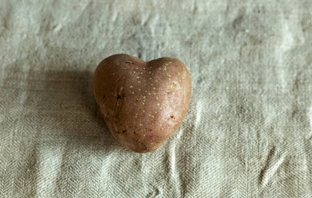 Batatas em forma de coração em um fundo de linho. O conceito de agricultura, colheita, vegetarianismo. Dia dos Namorados. quadrado, comida feia - Foto, Imagem