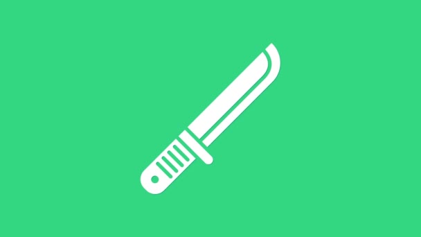 Icono de cuchillo White Hunter aislado sobre fondo verde. Cuchillo del ejército. Animación gráfica de vídeo 4K - Metraje, vídeo