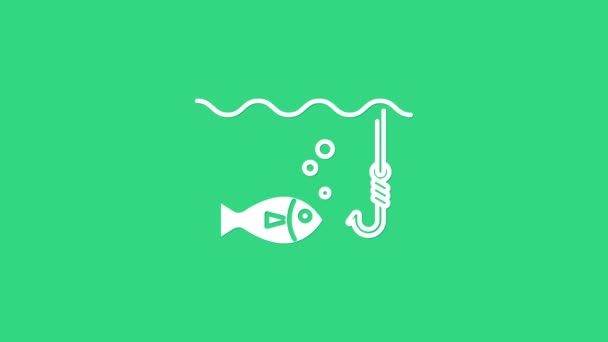Gancio da pesca bianco sott'acqua con icona del pesce isolato su sfondo verde. Attrezzatura da pesca. Animazione grafica 4K Video motion - Filmati, video