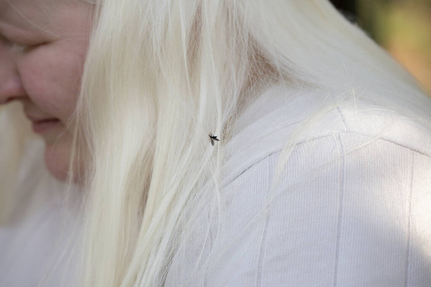 Žena s černošky létající brouk v jejích bílých vlasech - Fotografie, Obrázek