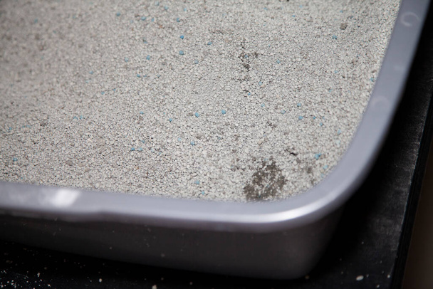 Caja de arena de gato con algunos grumos de orina de gato - Foto, imagen