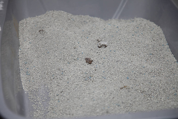 Caja de arena de gato con algo de caca - Foto, Imagen