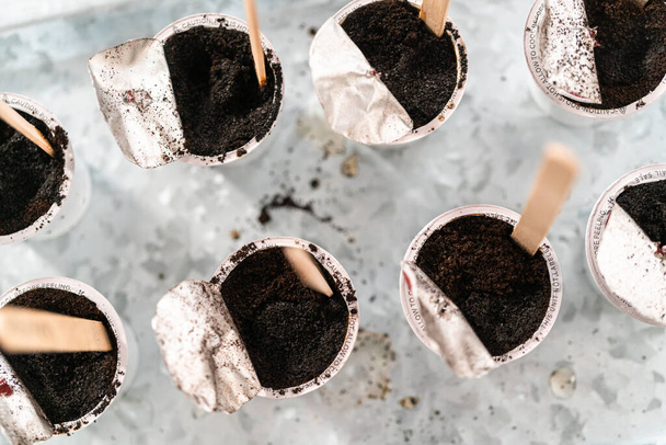 Sadzenie nasion w kapsułkach do kawy, aby rozpocząć wewnętrzny ogród warzywny. - Zdjęcie, obraz