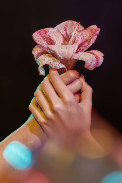 Beautiful flower being held by two palms - Φωτογραφία, εικόνα